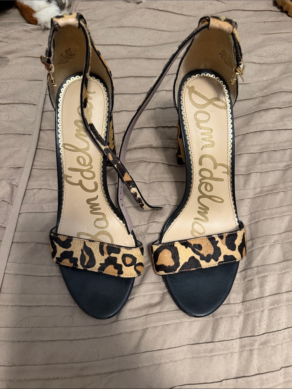 Sam Edelman Leopard-Print Ankle Strap Heels in Black and Tan